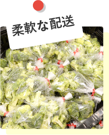 センター機能 加工 配送 大協青果株式会社 全国各地から買い付けた野菜 青果を皆さまのもとにお届けする卸売企業です